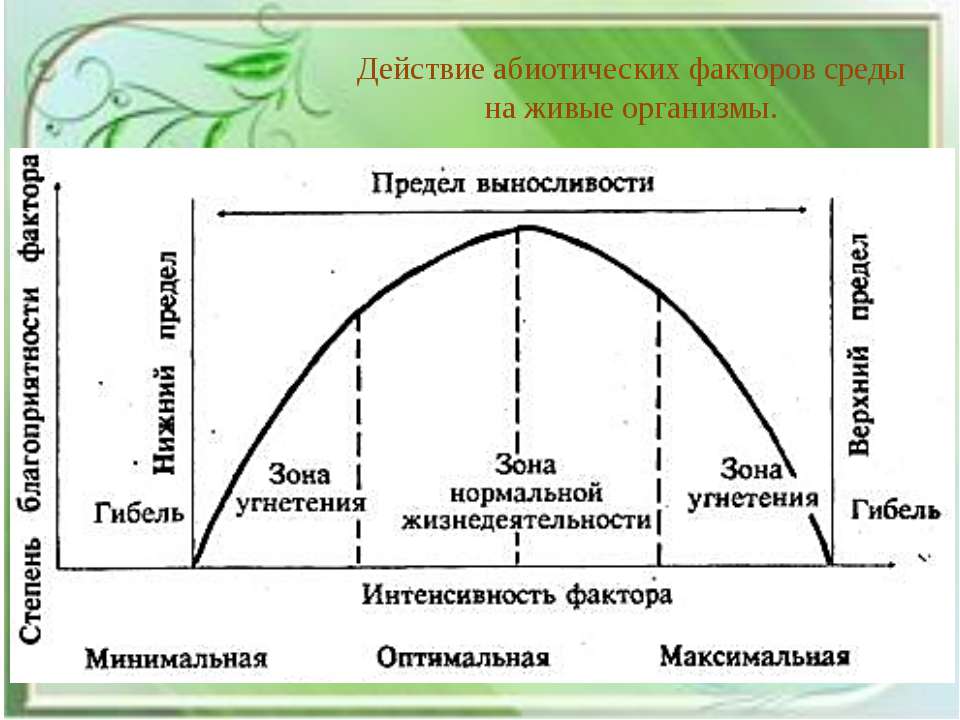 Влияние абиотических факторов. Влияние абиотических факторов на животных. Абиотические факторы влияние на организм. Абиотические факторы примеры.