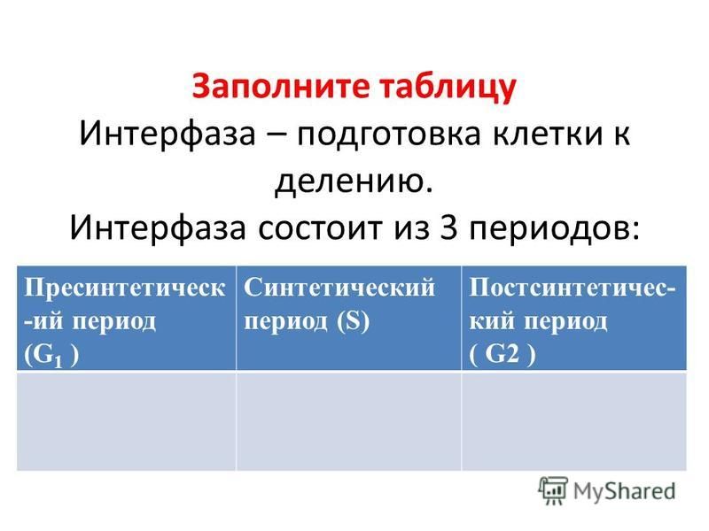 Таблица интерфазы. Периоды интерфазы таблица. Процессы происходящие в интерфазе.