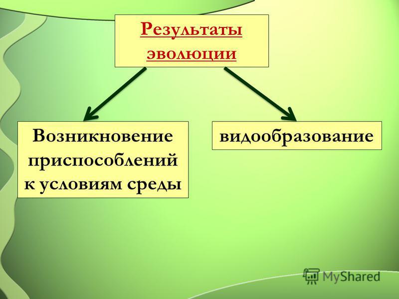 Перечислите результаты. Результаты эволюции. Результаты эволюции по Дарвину. Главный результат эволюции по Дарвину. Перечислите основные Результаты эволюции.