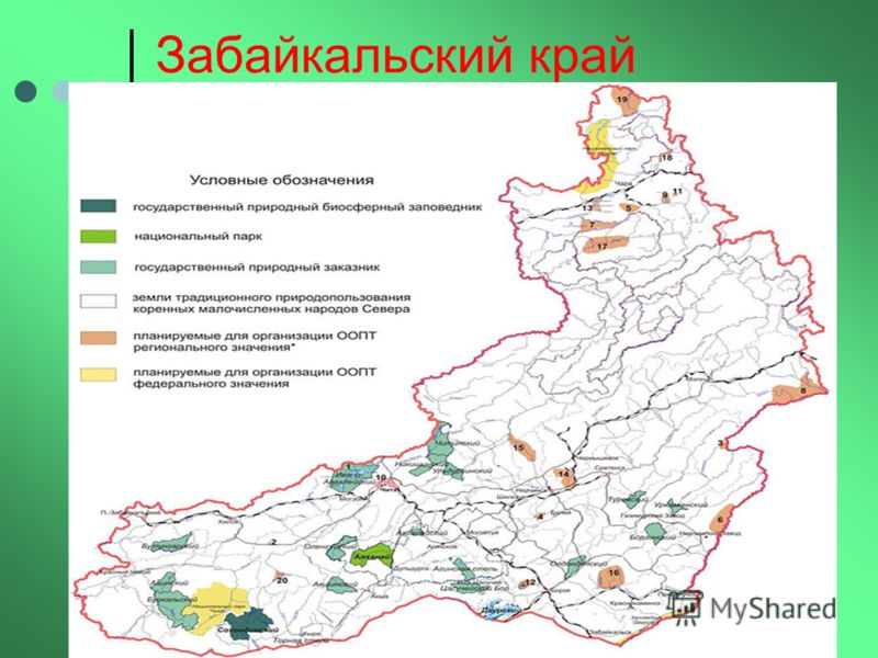 Климат забайкальского края презентация