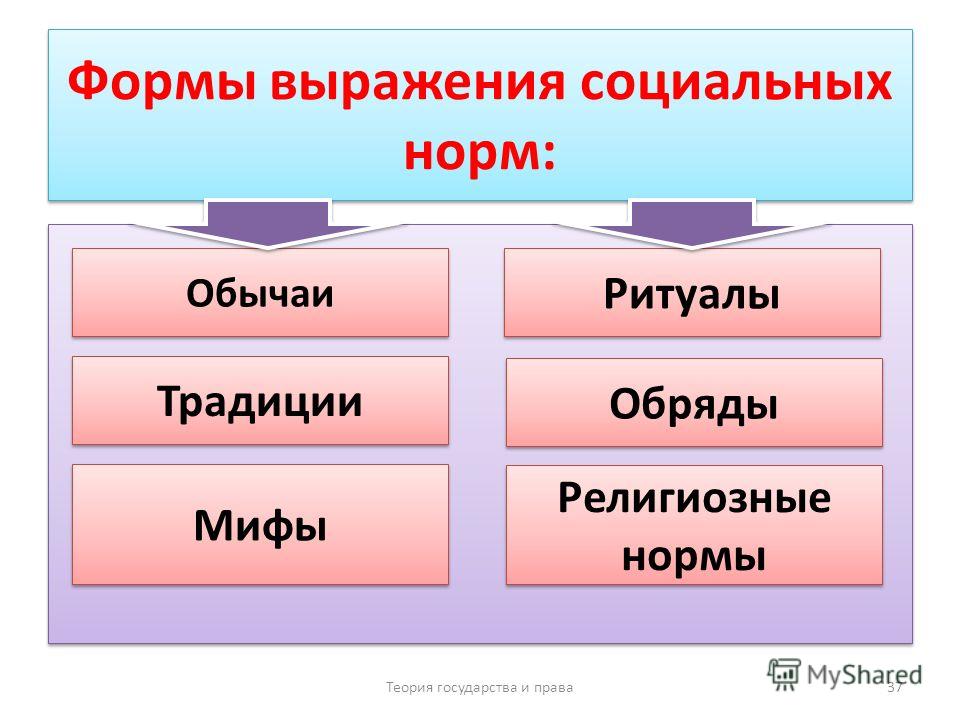 Социальные нормы обычаи