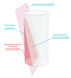 сечение цилиндра