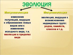 Микроэволюция Макроэволюция изменение популяций, ведущее к образованию новых