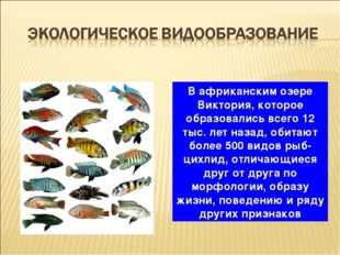 В африканским озере Виктория, которое образовались всего 12 тыс. лет назад, о