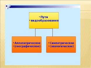 ВИДООБРАЗОВАНИЕ - это сложный эволюционный процесс, возникновения нового вида