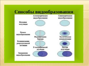 ВИДООБРАЗОВАНИЕ - это сложный эволюционный процесс, возникновения нового вида