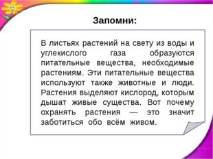 В листьях растений на свету из воды и углекислого газа образуются питательны