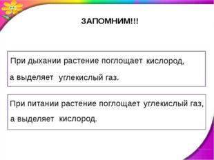 При дыхании растение поглощает а выделяет При питании растение поглощает а в