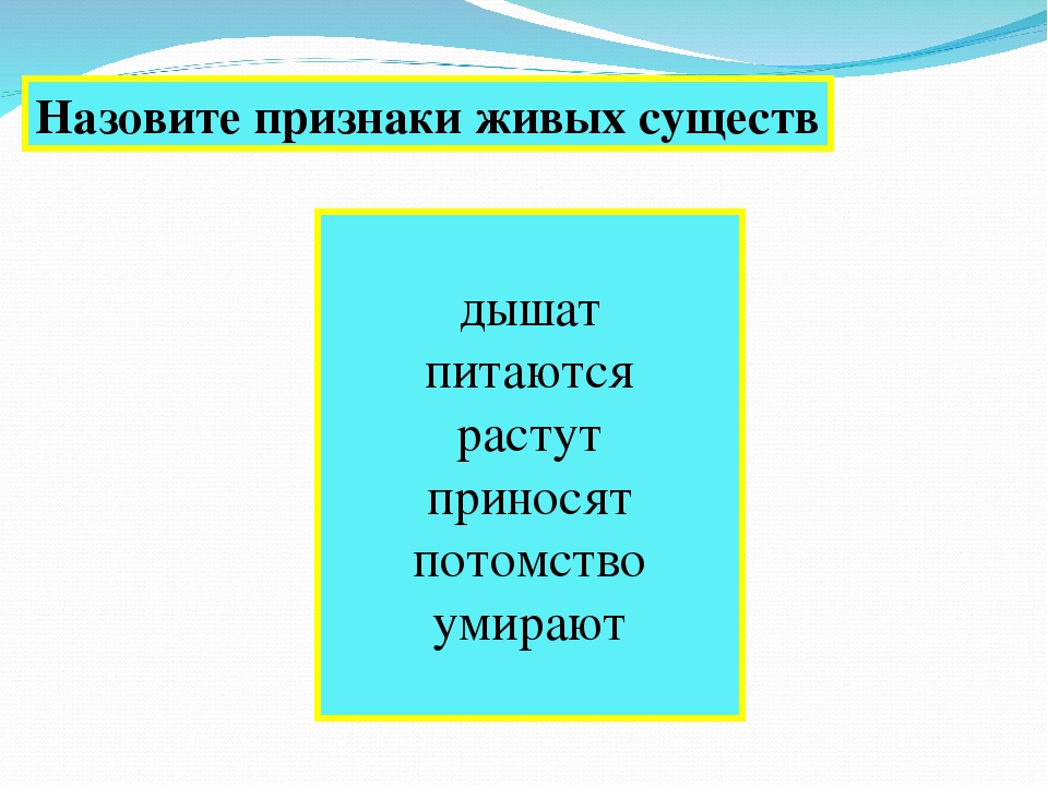 Признаки живых существ 2 класс окружающий мир схема