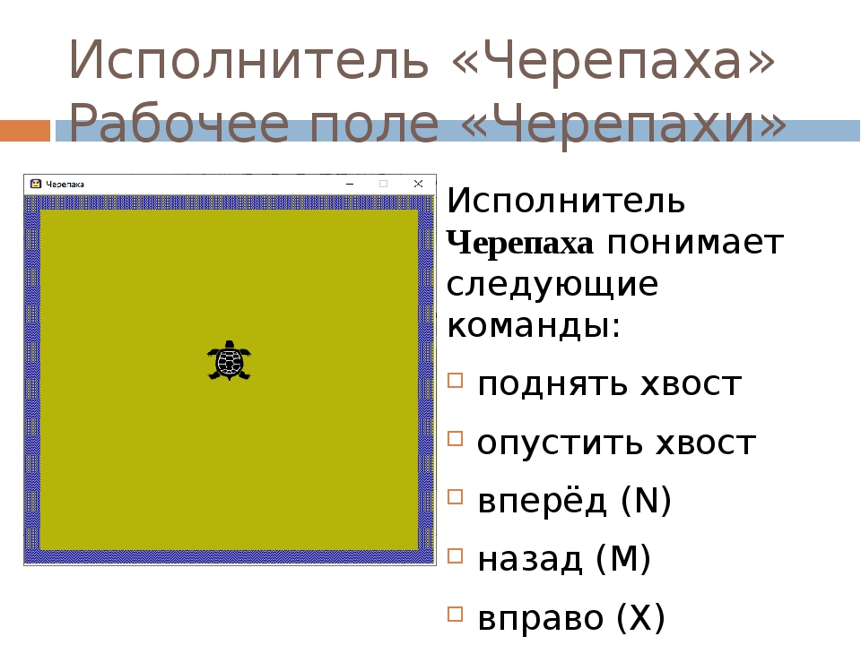 Исполнитель черепаха действует на плоскости. Исполнитель черепаха. Исполнитель черепашка кумир. Информатика кумир черепаха. Информатика исполнитель черепашка.