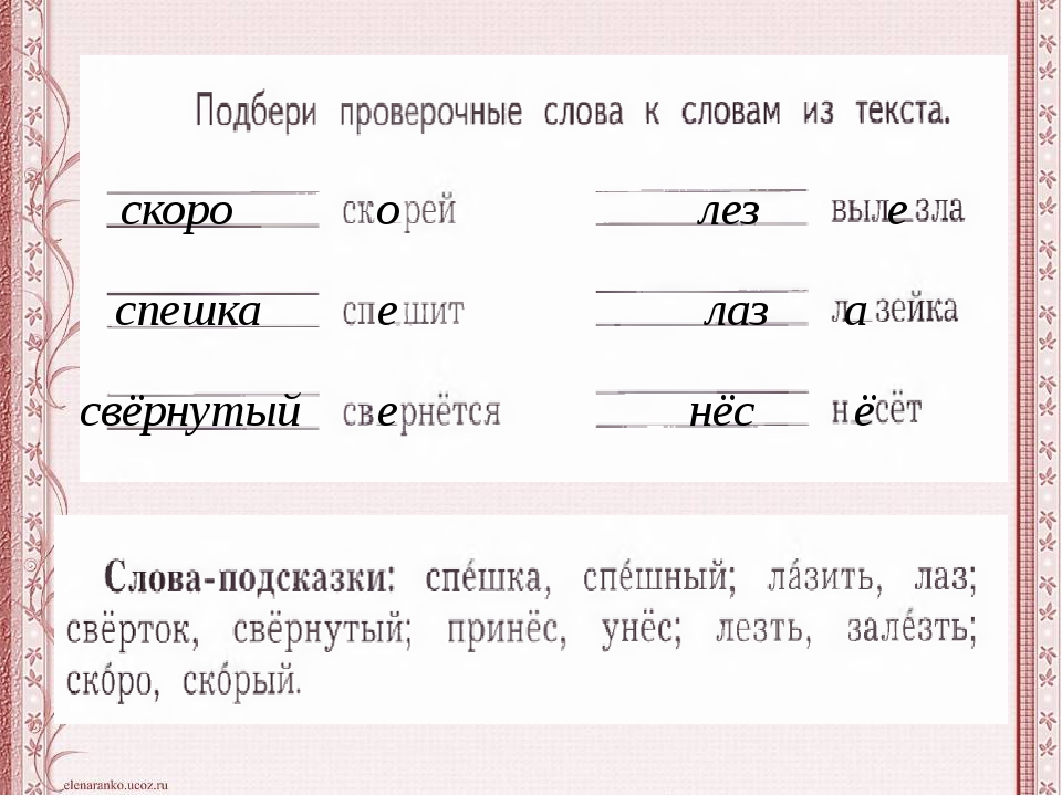 Картинка какое проверочное слово