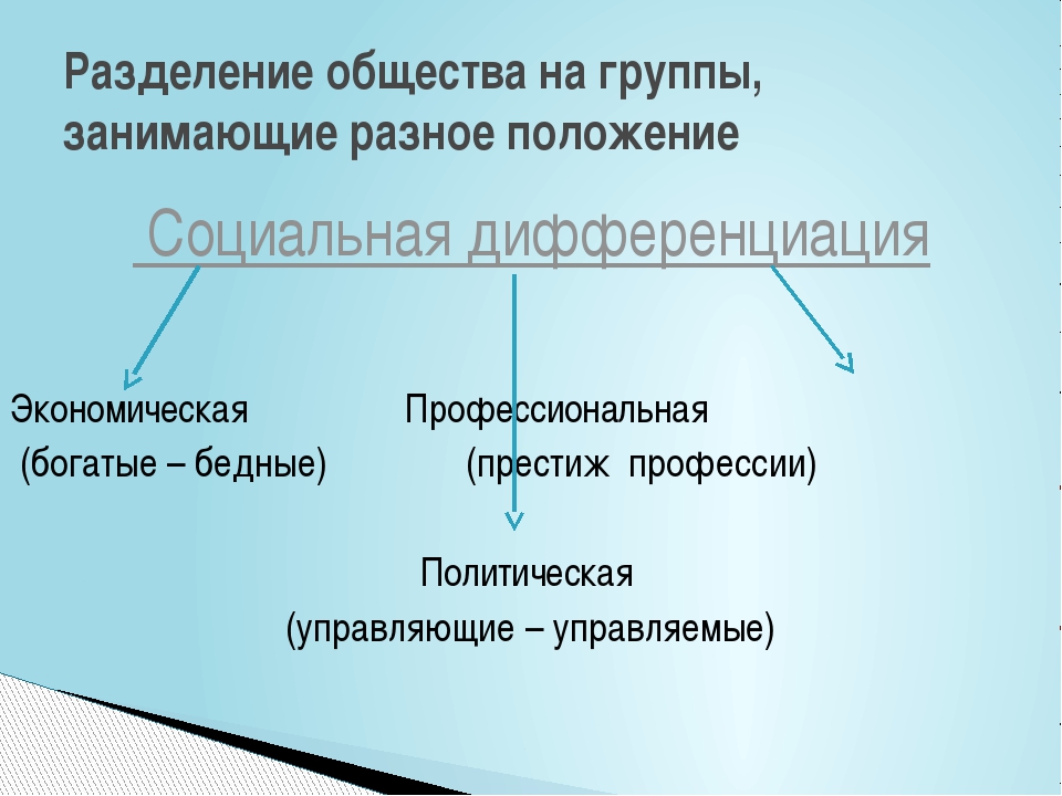 Разделение общества на группы проект