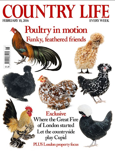 Read the full article in the latest issue of Country Life magazine, on sale now