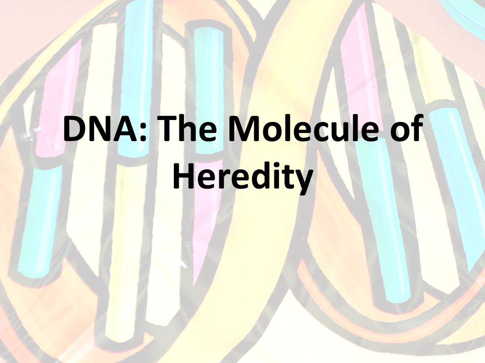 DNA: The Molecule of Heredity