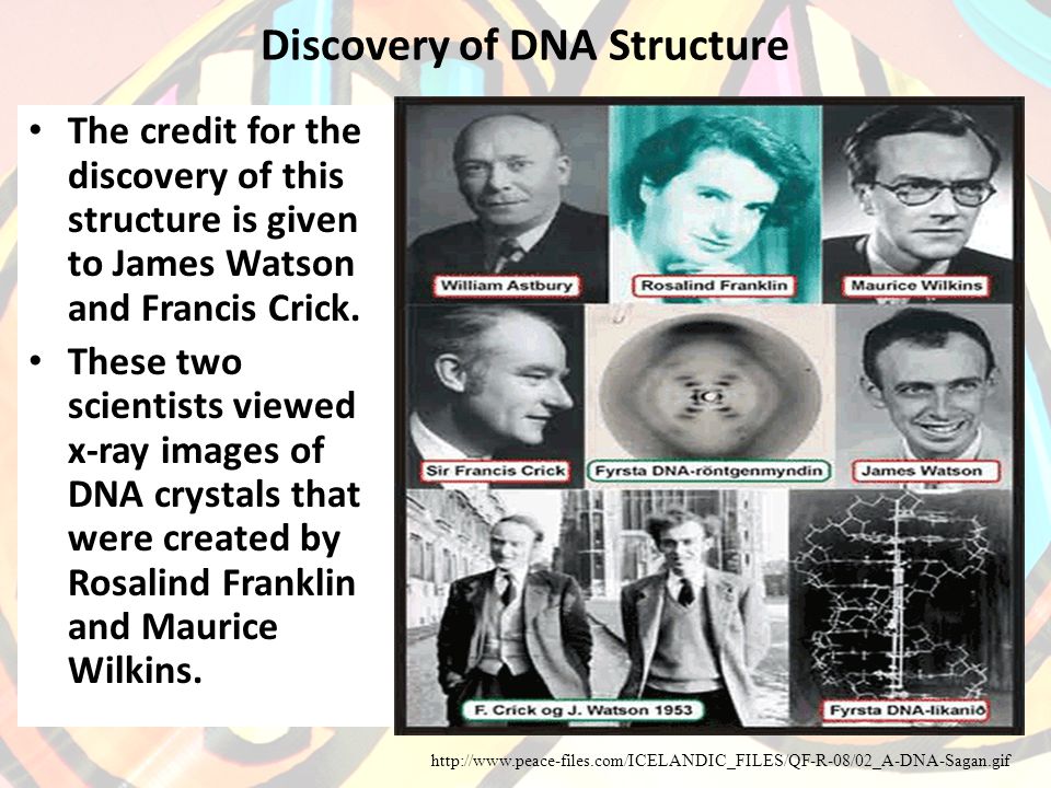 Discovery of DNA Structure The credit for the discovery of this structure is given to James Watson and Francis Crick.