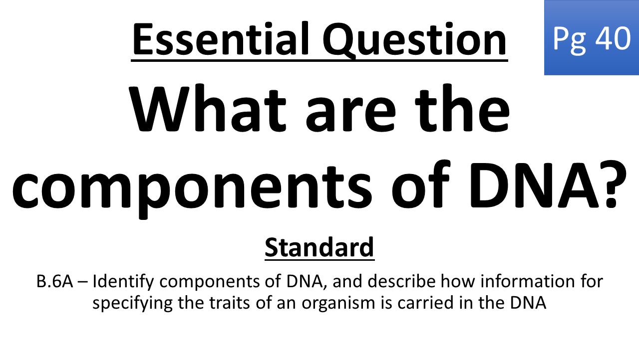 Essential Question What are the components of DNA.