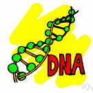 factor - (genetics) a segment of DNA that is involved in producing a polypeptide chain