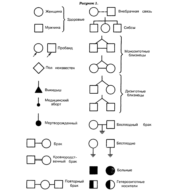 Как рисовать генеалогическое дерево генетика - 96 фото