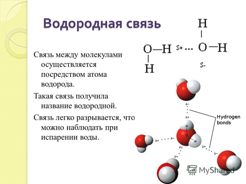 Записать схему образования молекулы водорода молекулы фтороводорода молекулы сероводорода