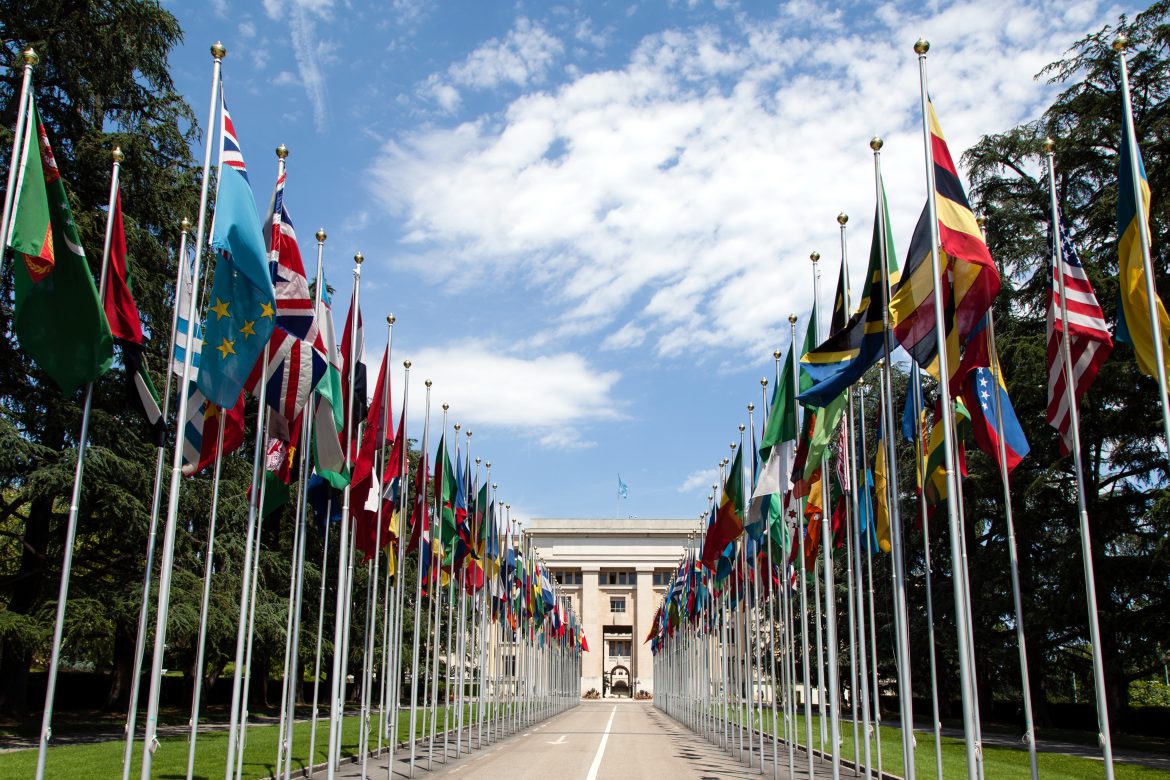 United_Nations_Flags_-_cropped