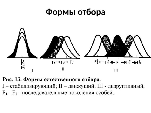 Формы естественного отбора ТЕСТ