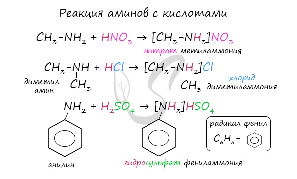 Реакции аминов с кислотами