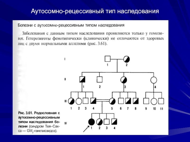 Рассмотрите схему скрещивания высокий рост томатов рецессивный или доминантный признак