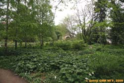 The Botanical Garden on prospect Mira