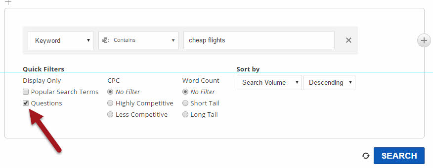 Search query in Keyword Finder