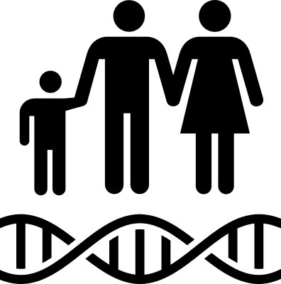 генеалогический метод генетики человека