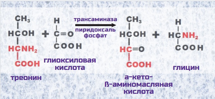 Глицин презентация по химии